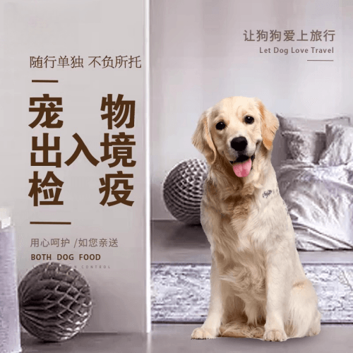 沈阳宠物托运到哥伦比亚猫狗宠物入境规定和