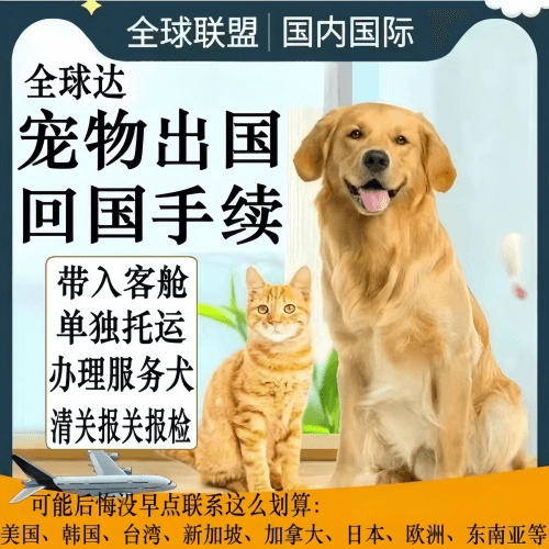 沈阳宠物托运到柬埔寨宠物入境规定和要求