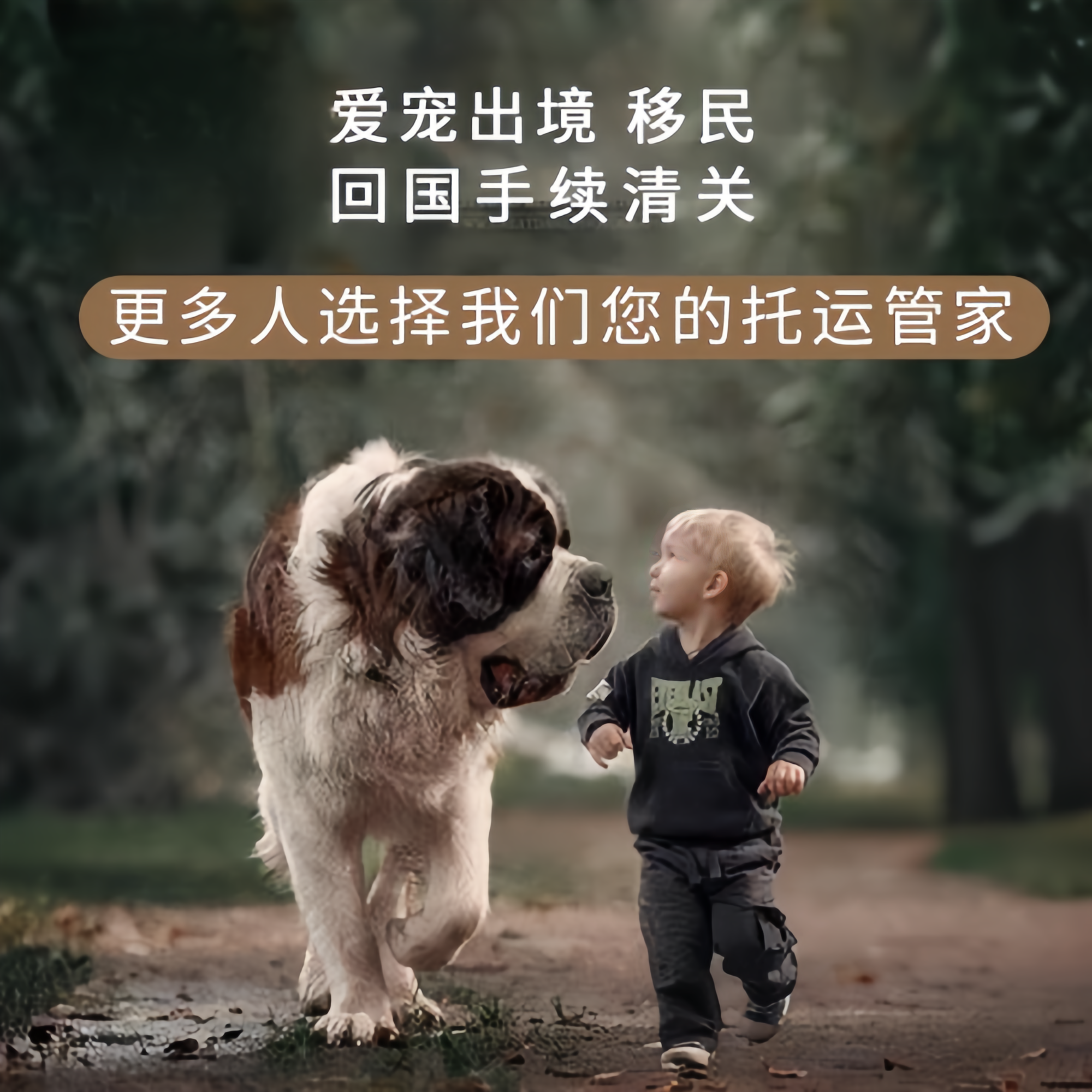 满财沈阳宠物全球达宠物托运在遵守入境目的地政策的条件