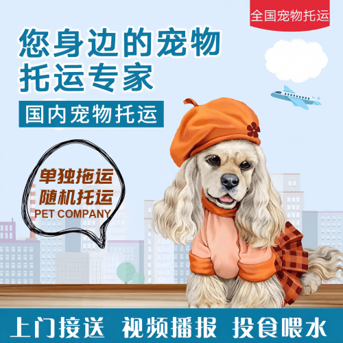 满财沈阳宠物全球达宠物托运作为专业的宠物运输代理机构